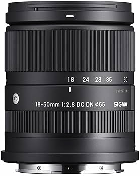 Amazon.com : Sigma 18-50mm F2.8 DC DN Contemporary for L Mount